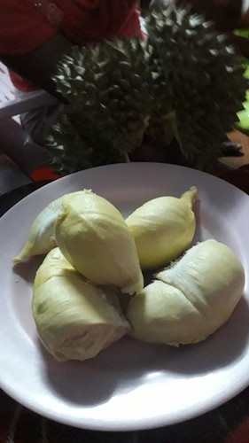 แม่ๆบ้านไหนชอบกินทุเรียนบ้างคะ