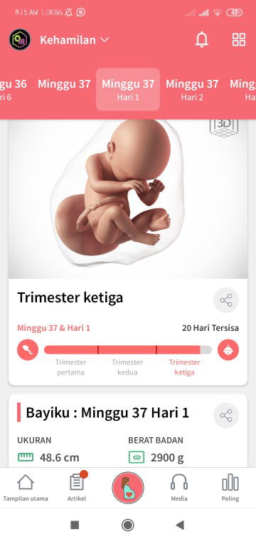 37 Minggu hpl 17 Agustus 2020