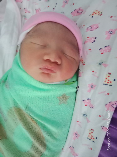 กำหนด12สิงหา