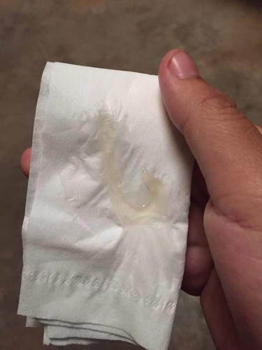 37+3 วีค