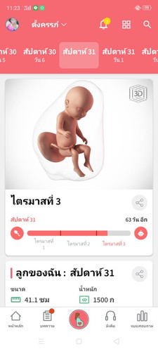 31สัปดาห์แล้ว