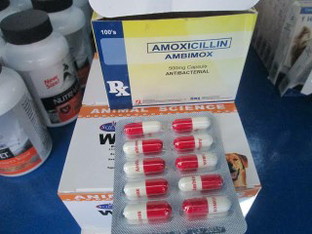 amoxicillin AMBIMOX