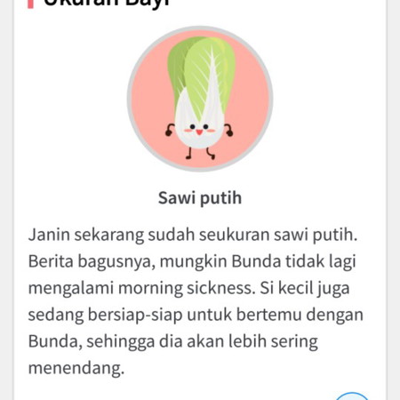 klo minggu 28 brarti brapa bulan??