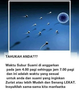 Promil Ala Islam