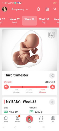 38 weeks !!!