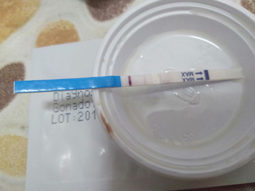 ตรวจขึ้น2ขีด