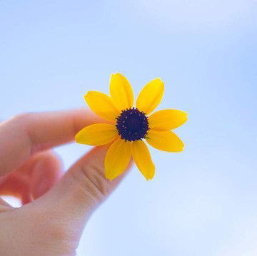 Zuraidah Abdullah profile icon