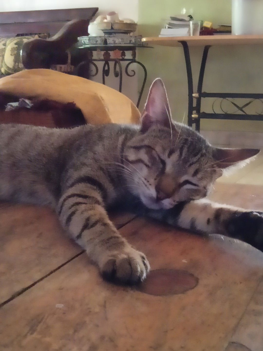 MamanyaAl profile icon