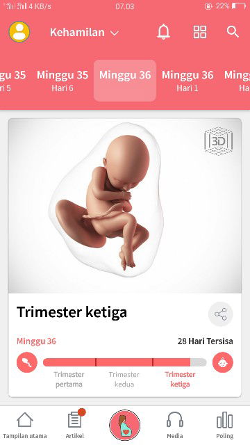 seputar kehamilam