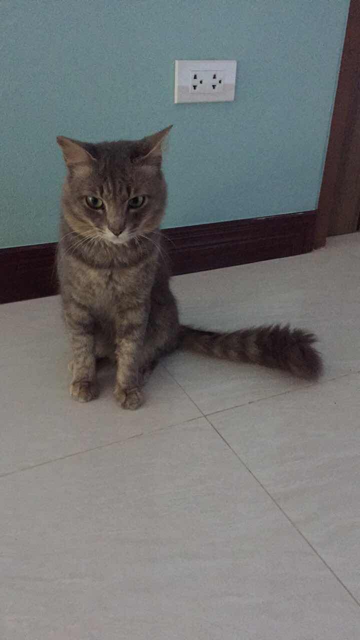 BB_Ball profile icon