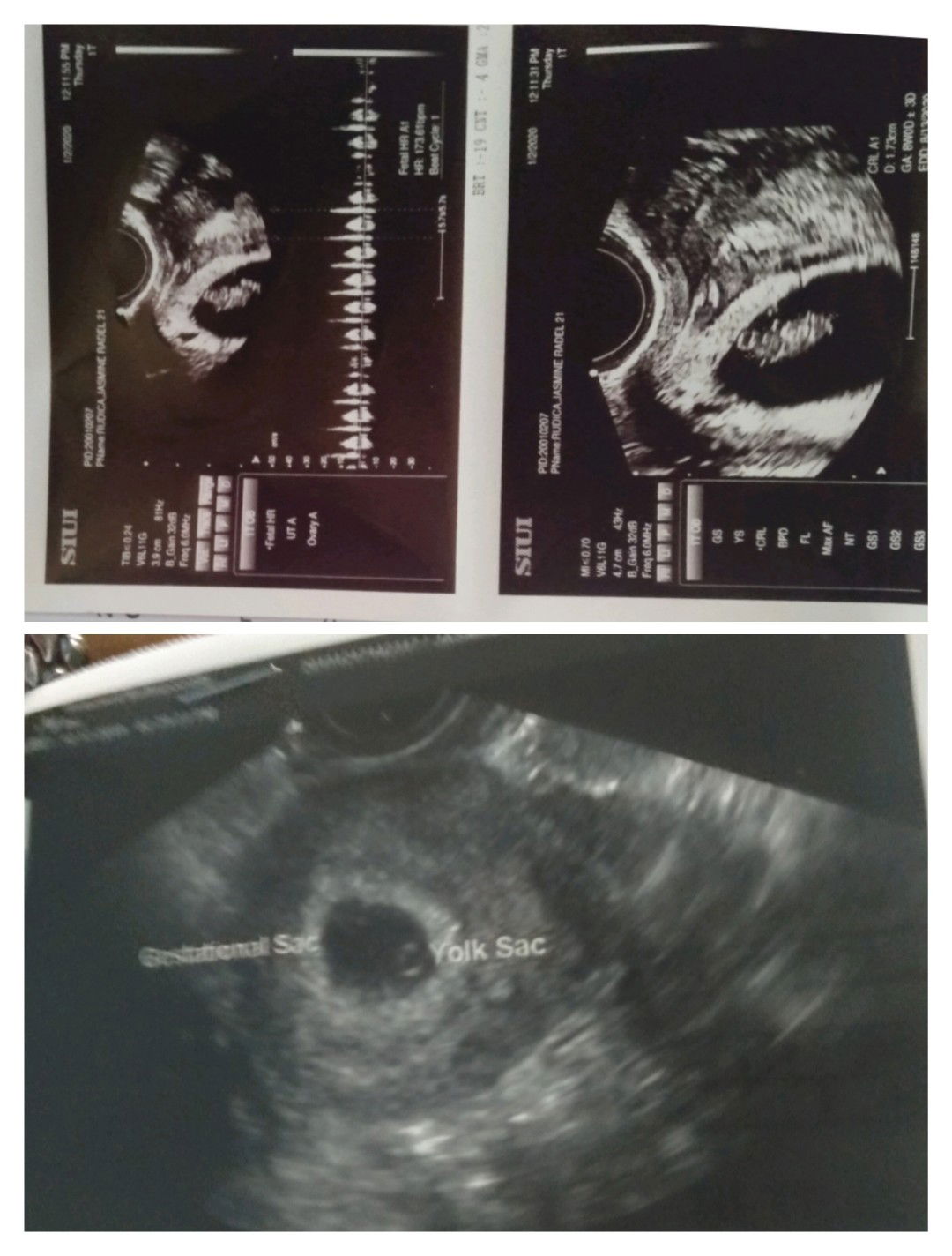 jasmine radel rudica profile icon