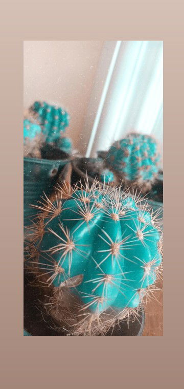 Jenjira profile icon