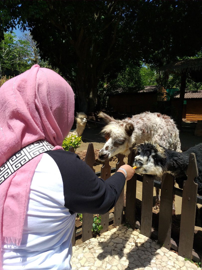 Amsyah Nurida profile icon