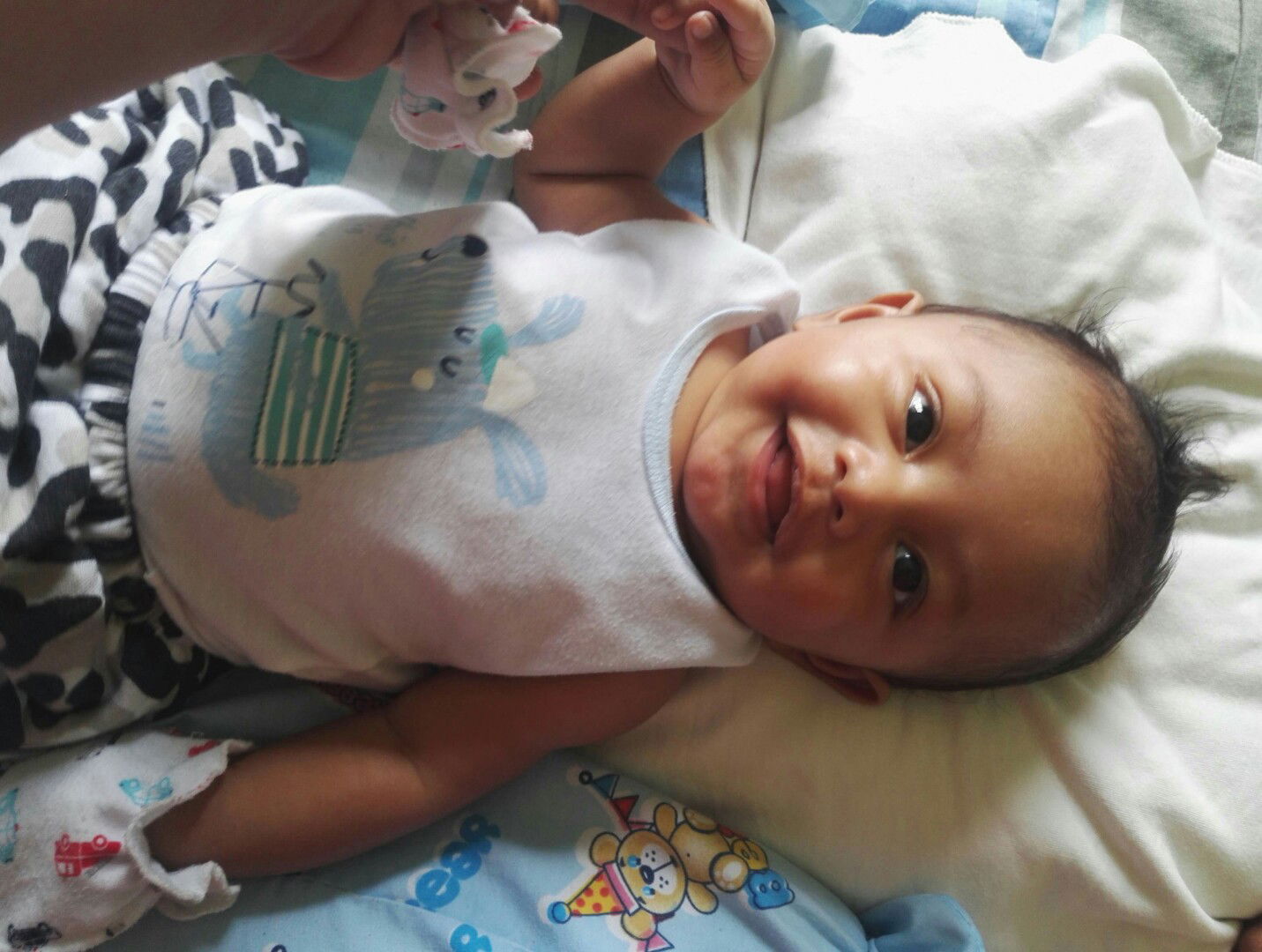 Kate Alburo-Arandia profile icon