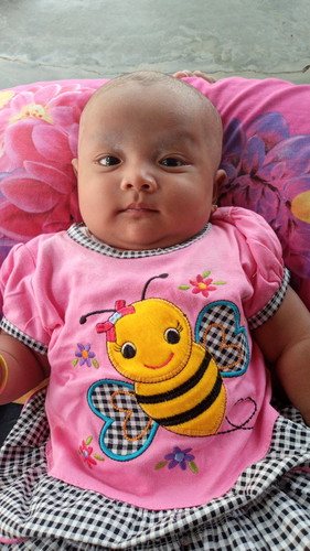 bb bayi