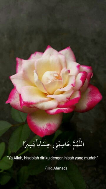 Ummu Zaid profile icon