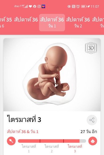 แม่ท้องสองผ่าคลอดกันกี่สัปดาห์คะ... บ้านนี้ 36 weeks. แล้วคะ ปวดร้าวตรงสะโพกมาก
