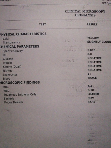 Urinalysis Result