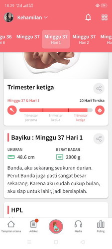 hpl awal agustus