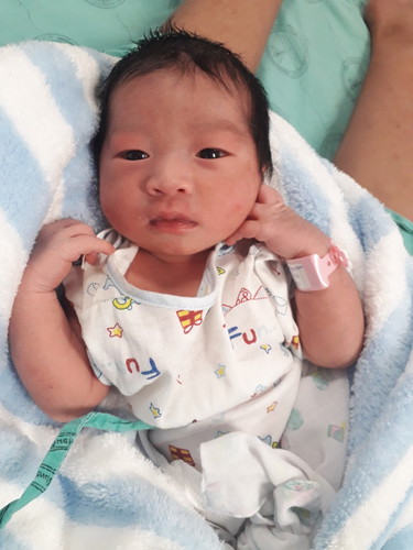 น้องเหนือ