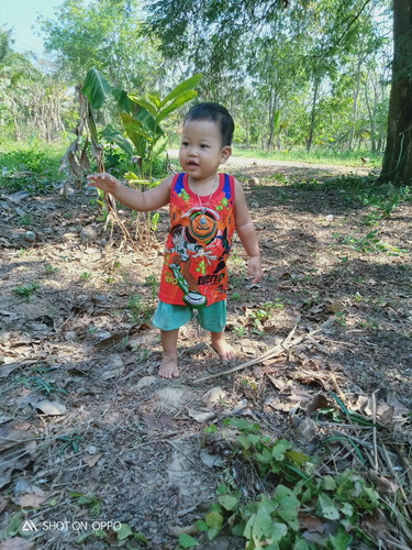 เด็ก