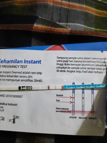 Kehamilan Pertamaku Impianku