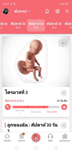 ทีม ก.ค.