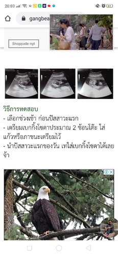 ทดสอบเพศลูก