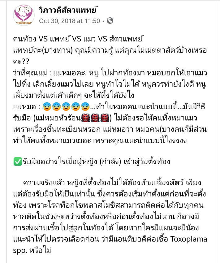 คนท้องกับการเลี้ยงแมว