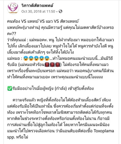 คนท้องกับการเลี้ยงแมว