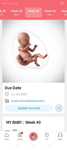 40 weeks