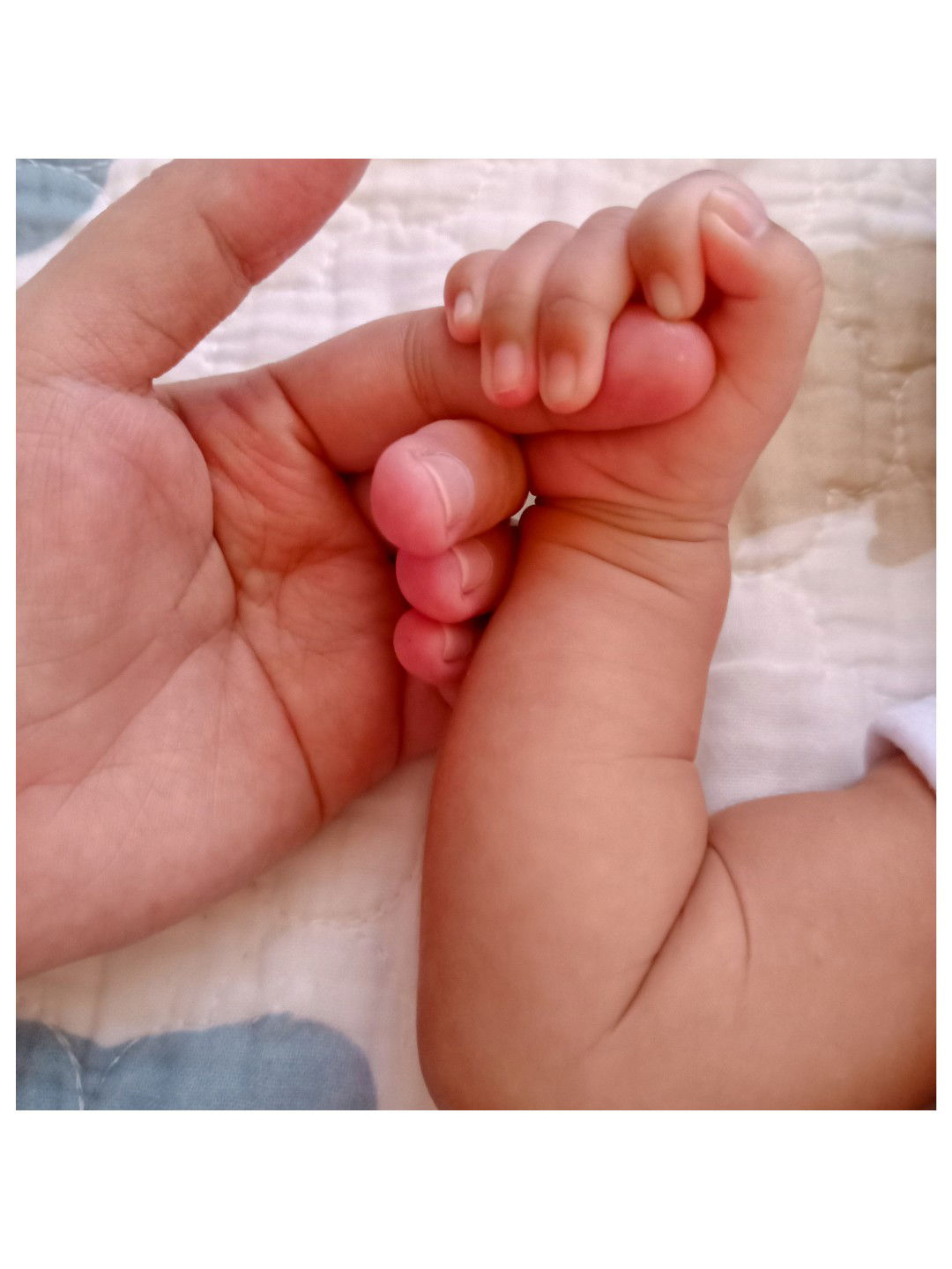 KRi STel profile icon