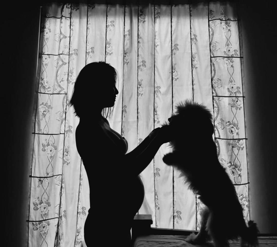 Joan Segui-Angeles profile icon