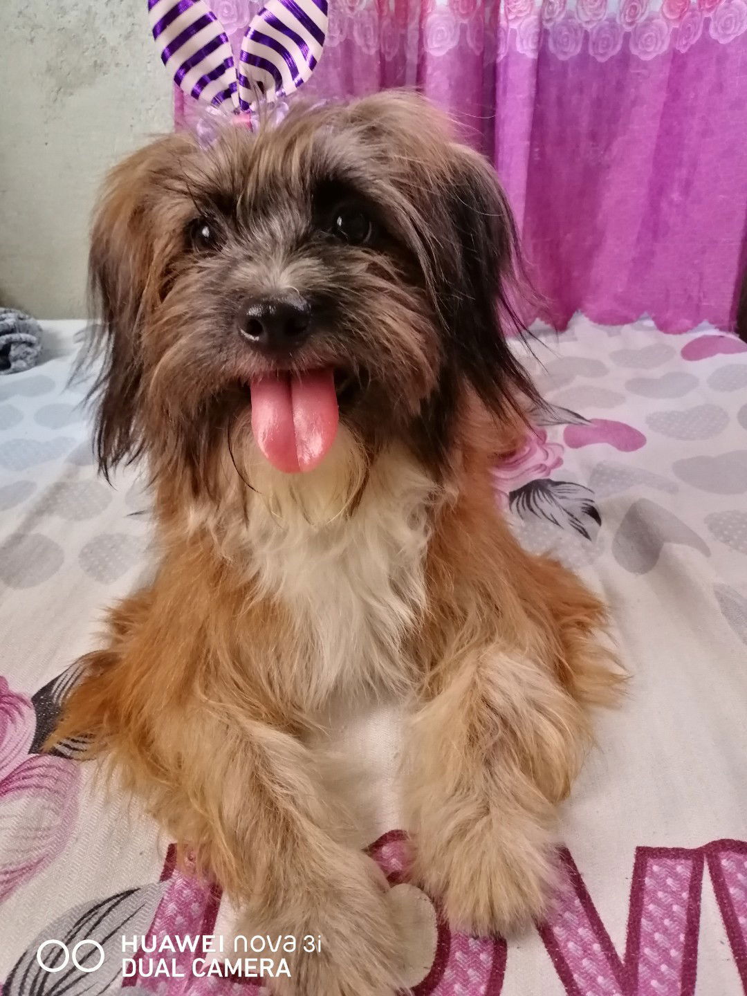 miracle hope profile icon