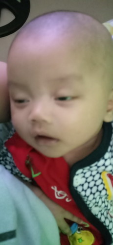 baby