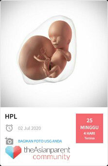 Intan Annisa profile icon