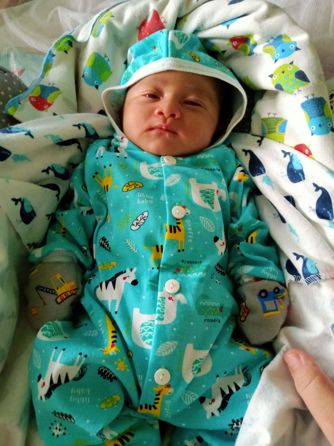 Debi pirdaningsih profile icon