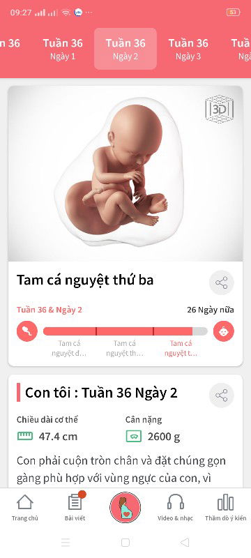 trông con từng ngày