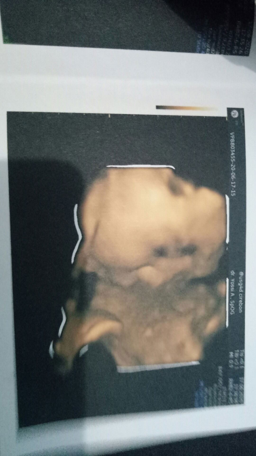 Diannisa Wibawanty profile icon