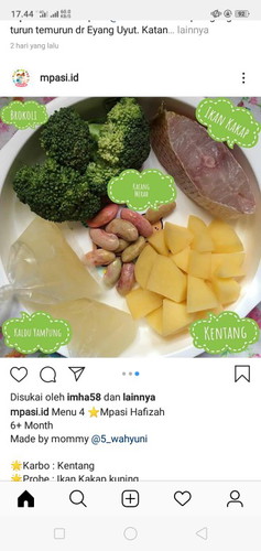 MPASI