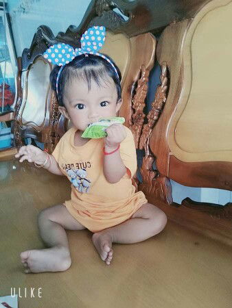 bích chi profile icon