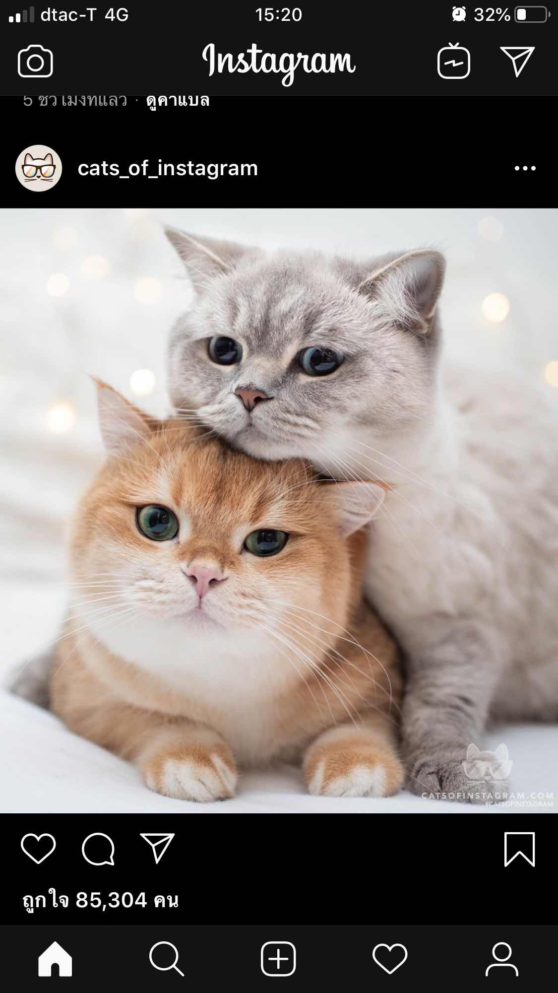 Papatsara profile icon