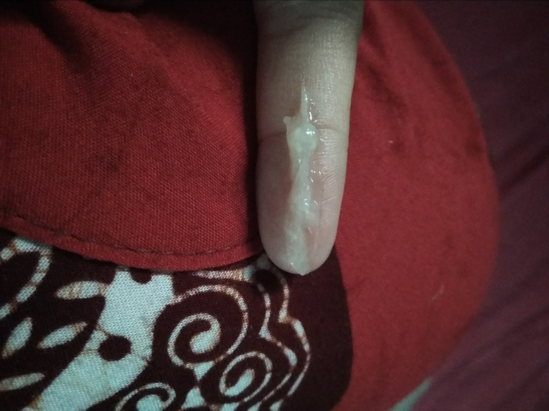 lendir apa?