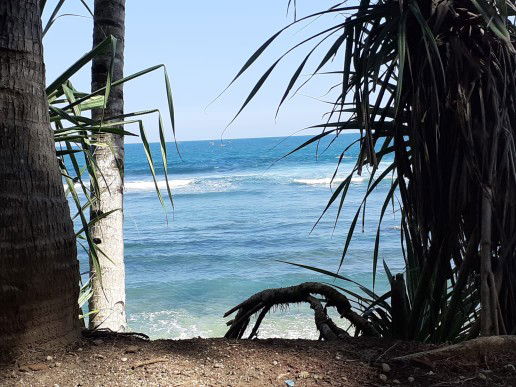 Mrs. Wibowo profile icon