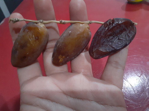 แม่ค่ะสามารถกินได้ไหม