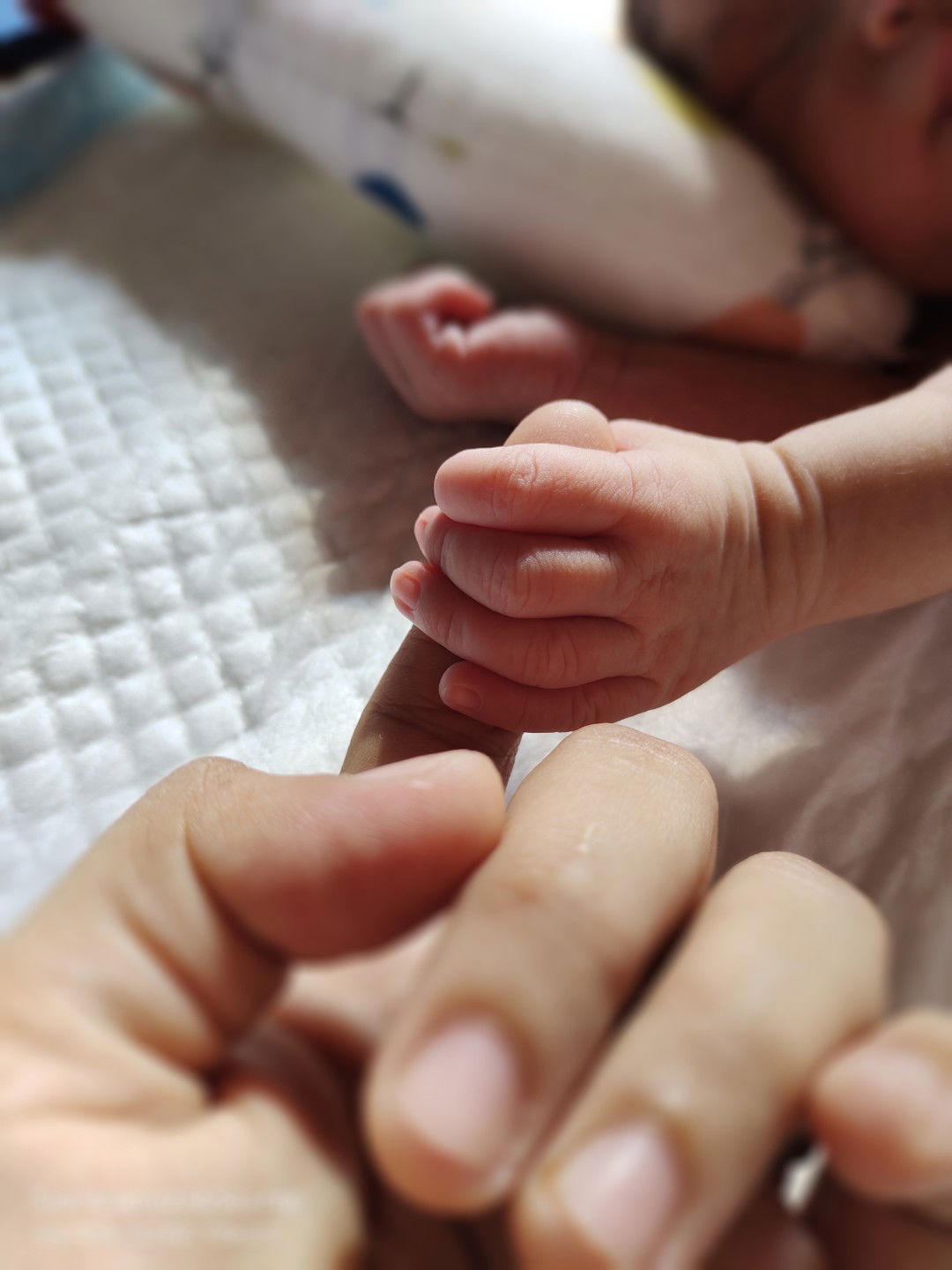 Boniza Dionarce profile icon