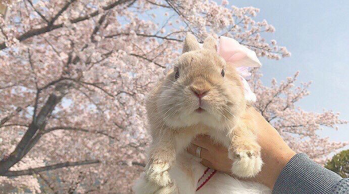 mimie 77 profile icon