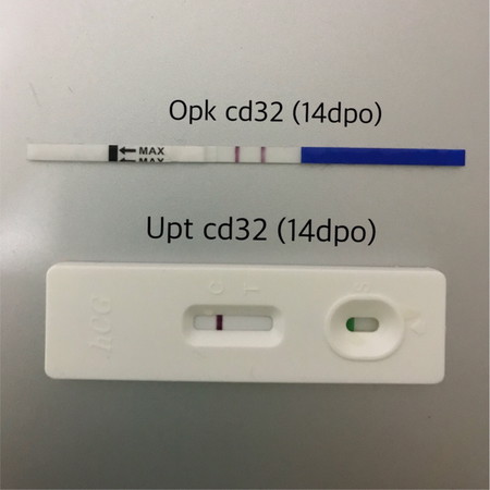 Opk positive, upt negative 14dpo