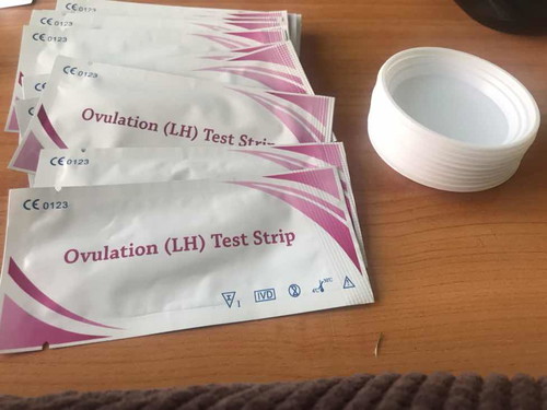 ที่ตรวจไข่ตก