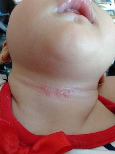 Dikasihin apa ini bun?